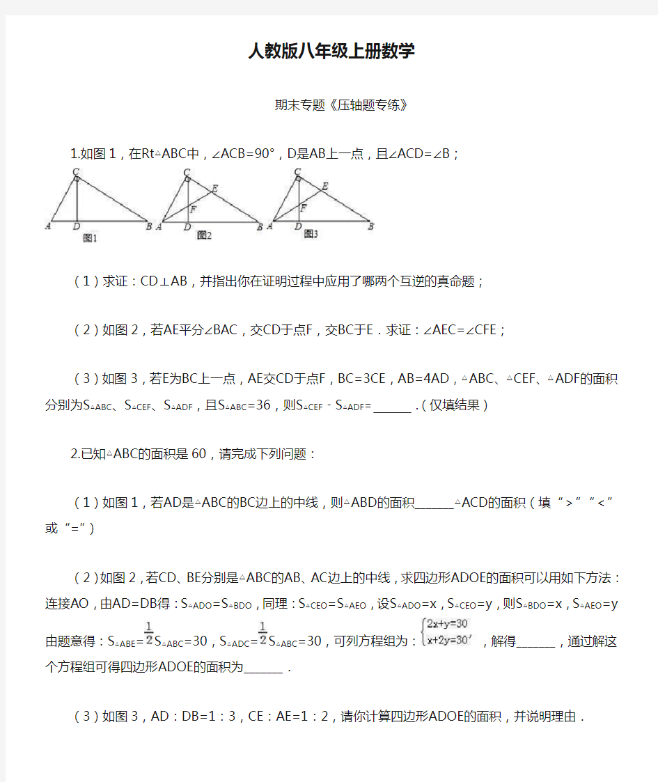 人教版八年级上册数学   期末专题《压轴题专练》(含答案)