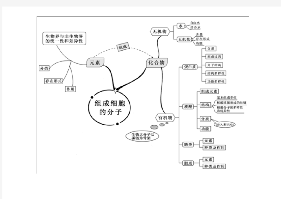 人教版高中生物全套思维导图