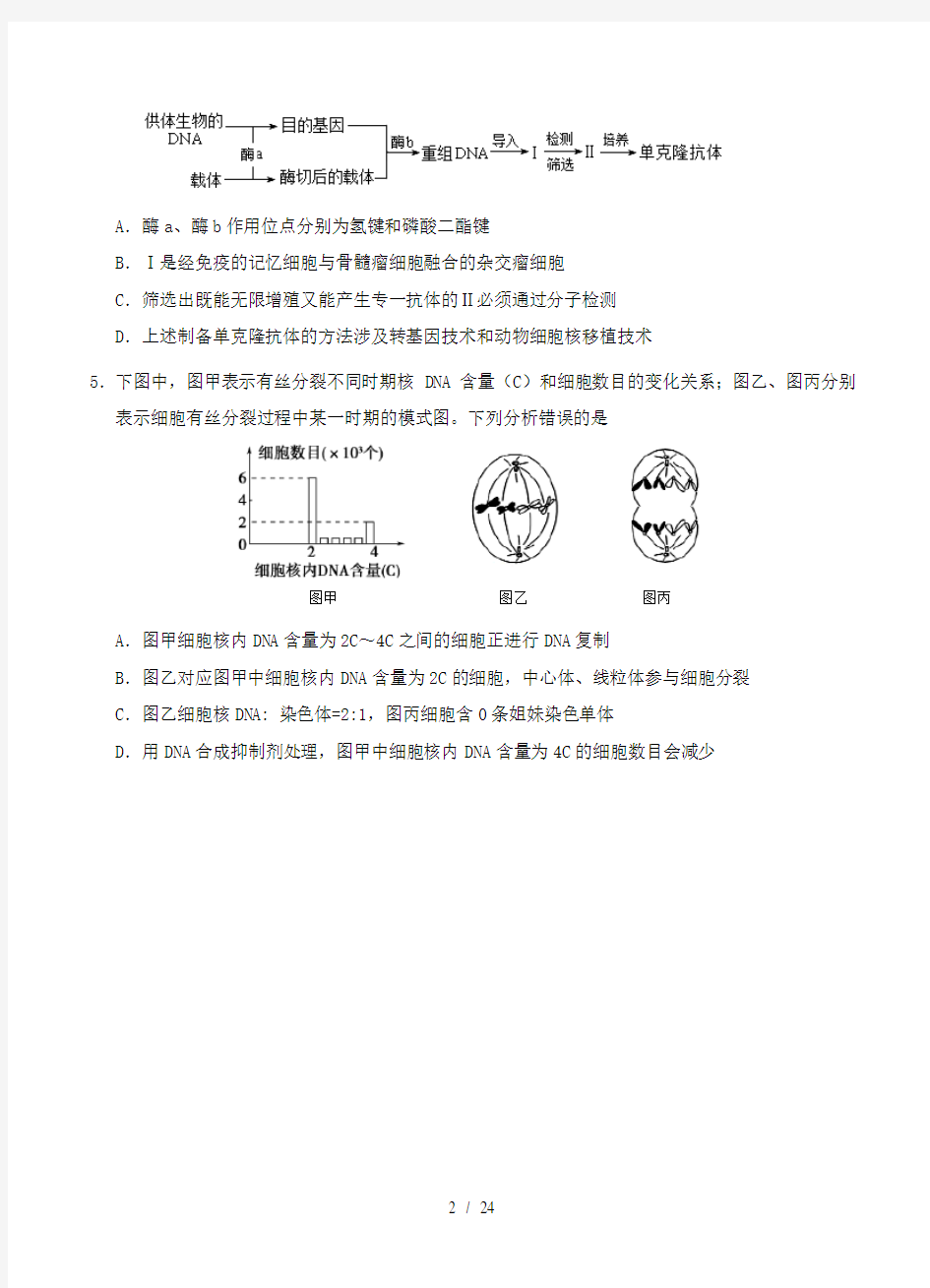 天津市南开区2019届高三一模考试理综试题(含答案)