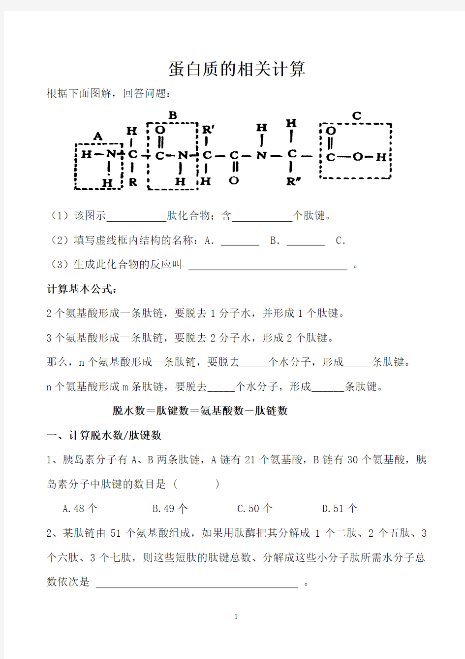 高中生物人教版蛋白质的相关计算