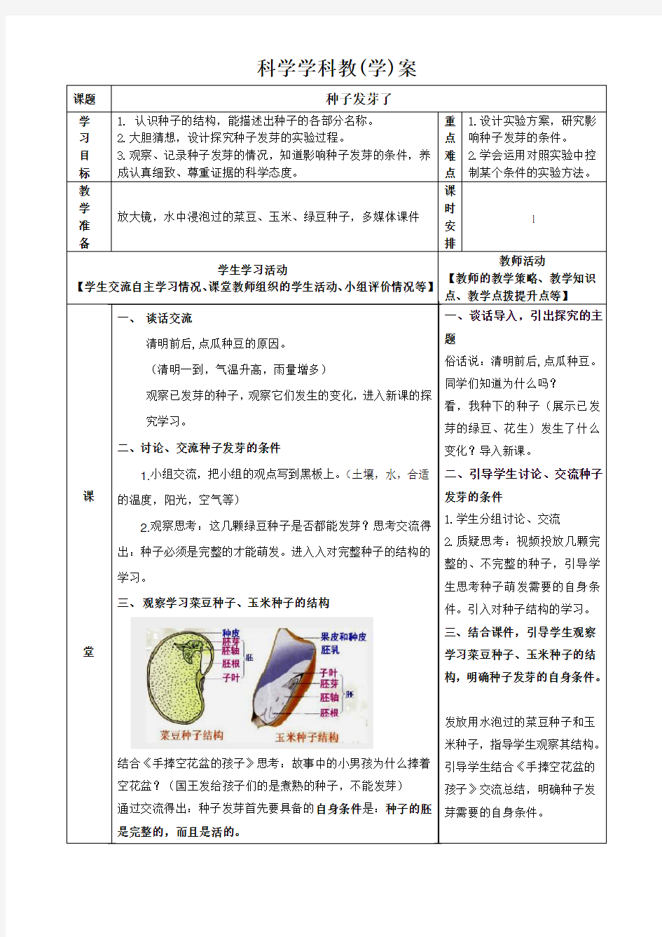 《种子发芽了》教案