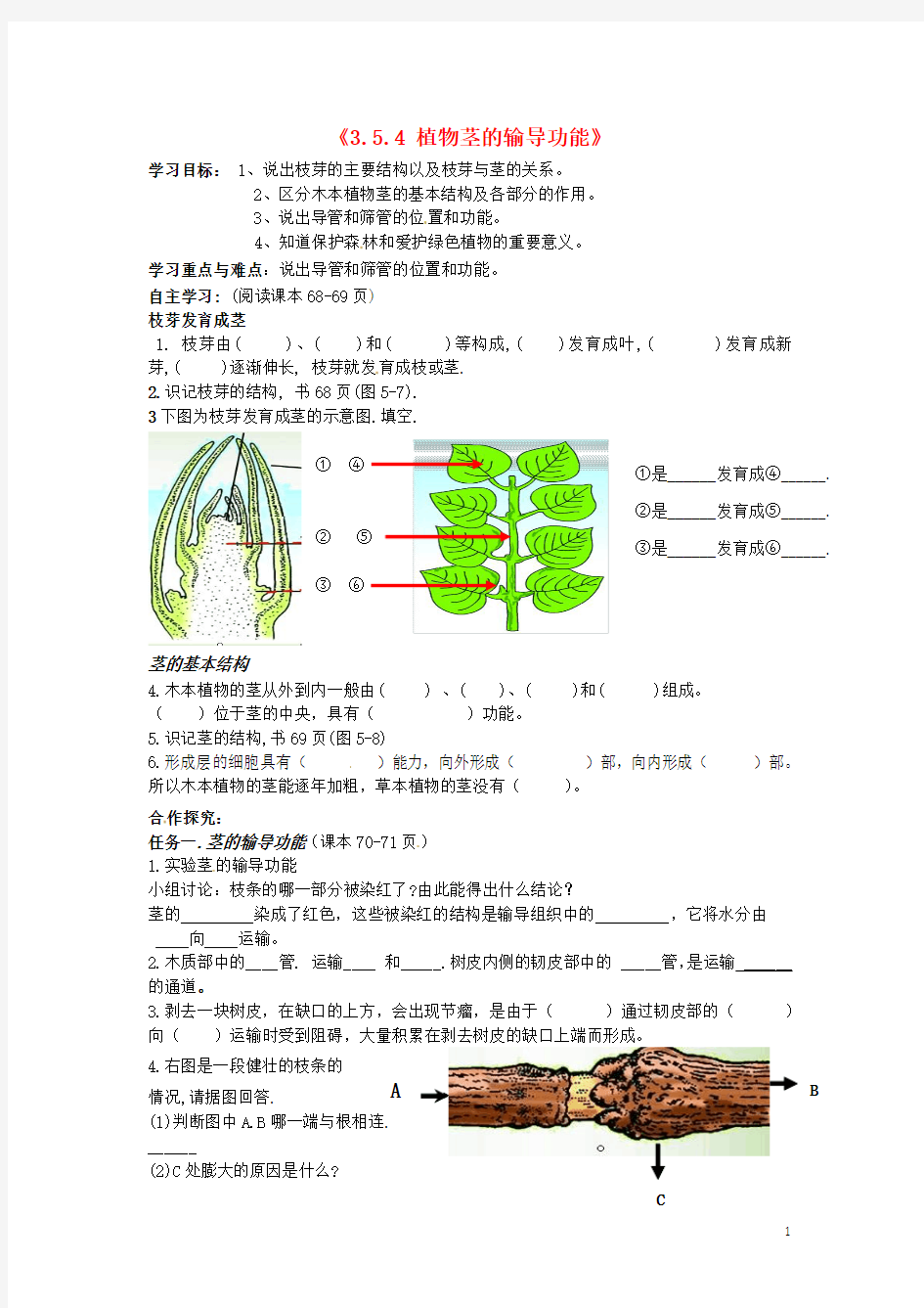 辽宁省辽阳市第九中学七年级生物上册《3.5.4 植物茎的输导功能》学案