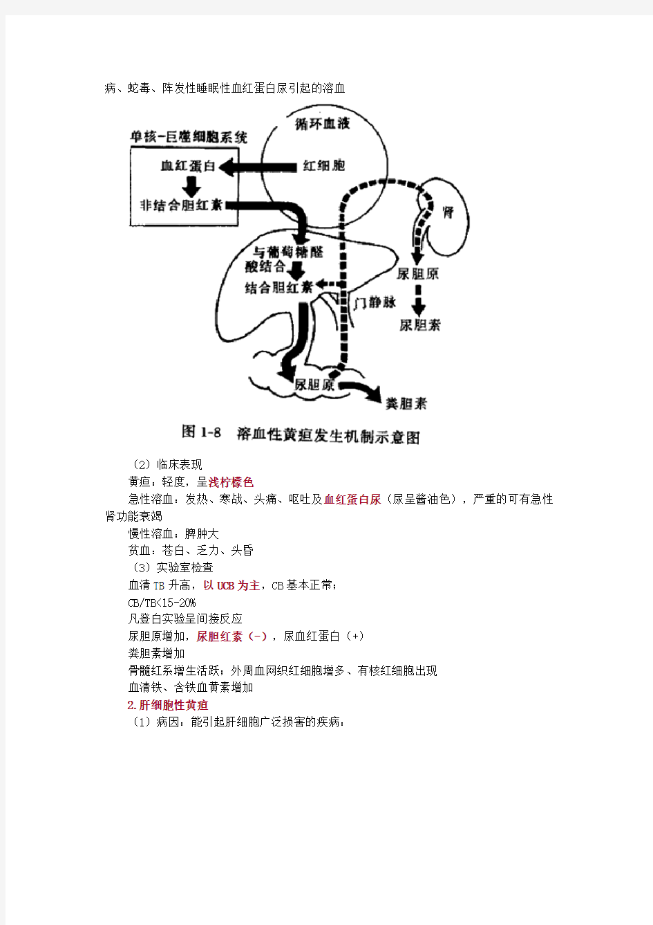 黄疸考点总结