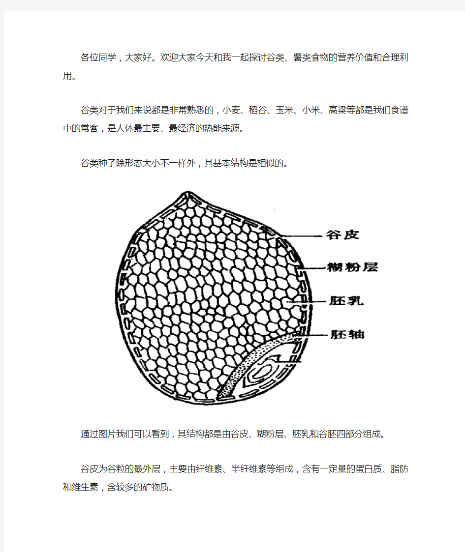 食品营养与健康 5谷类食物的营养价值及合理利用