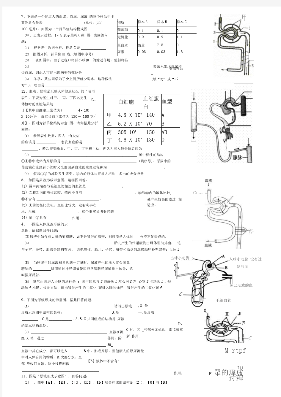 第五章人体的泌尿系统试题编辑版