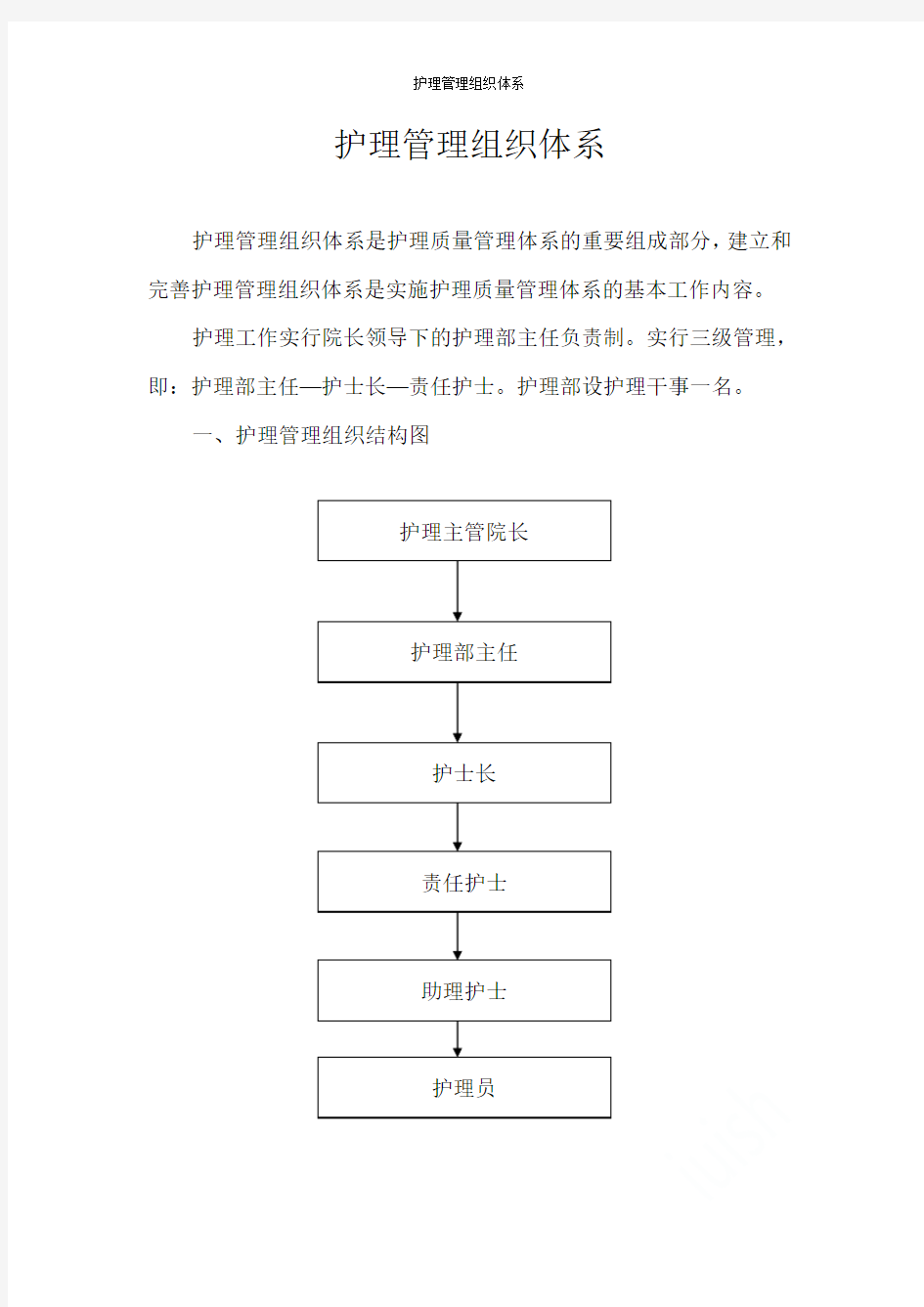 护理管理组织体系