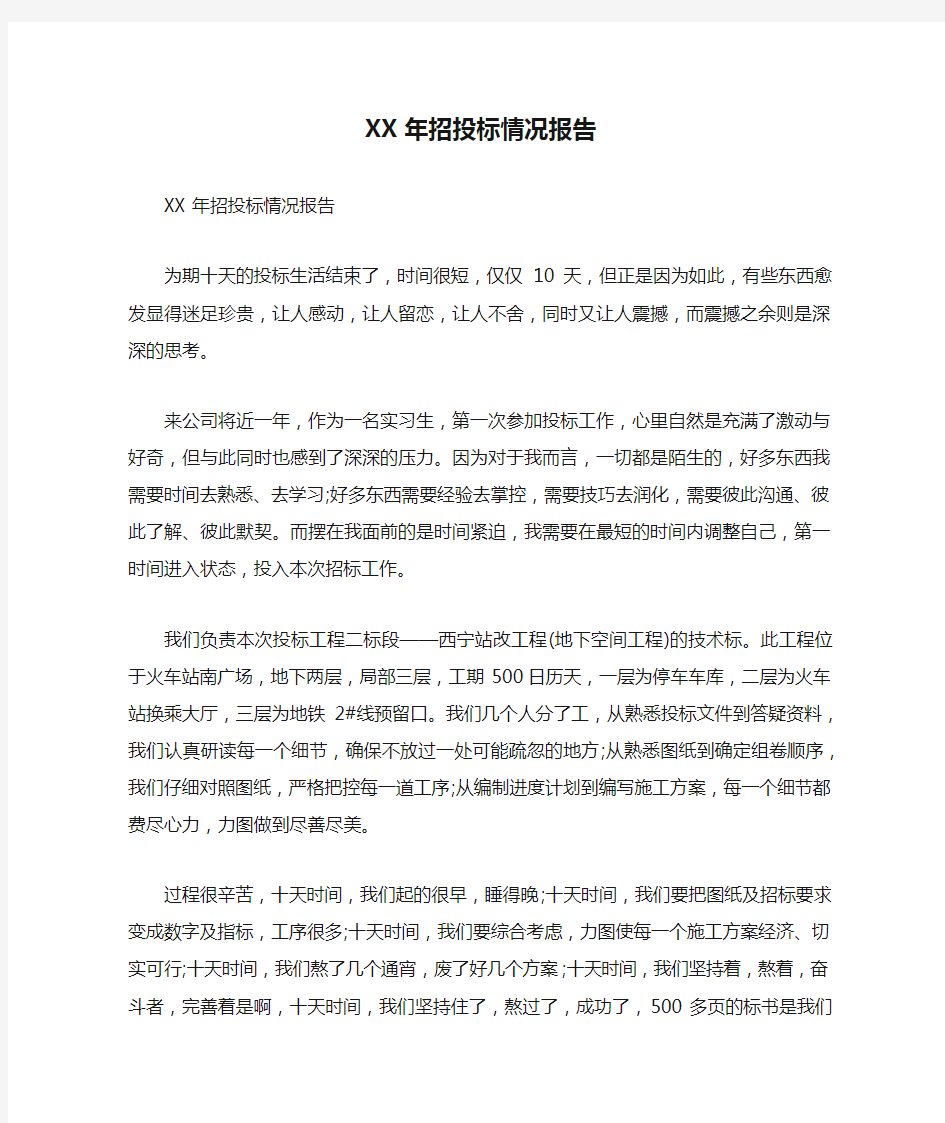 XX年招投标情况报告