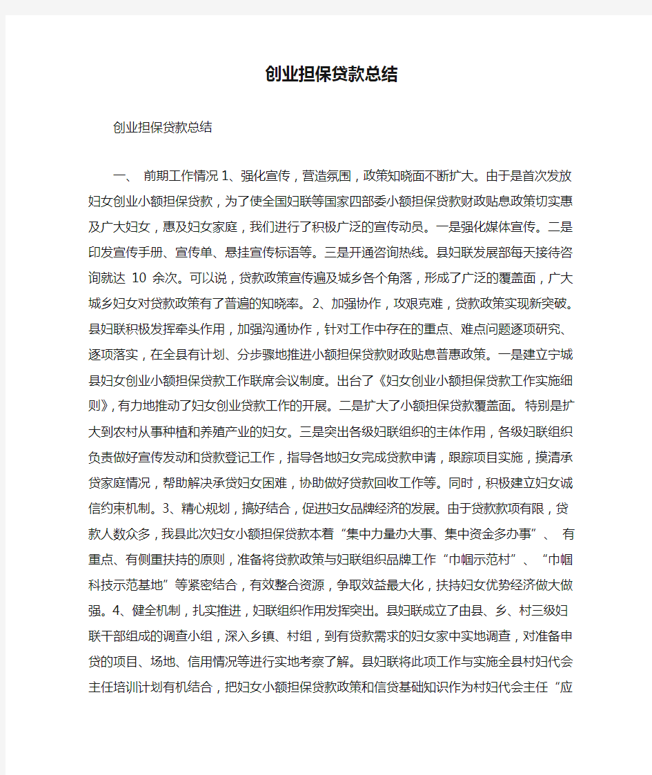 创业担保贷款总结