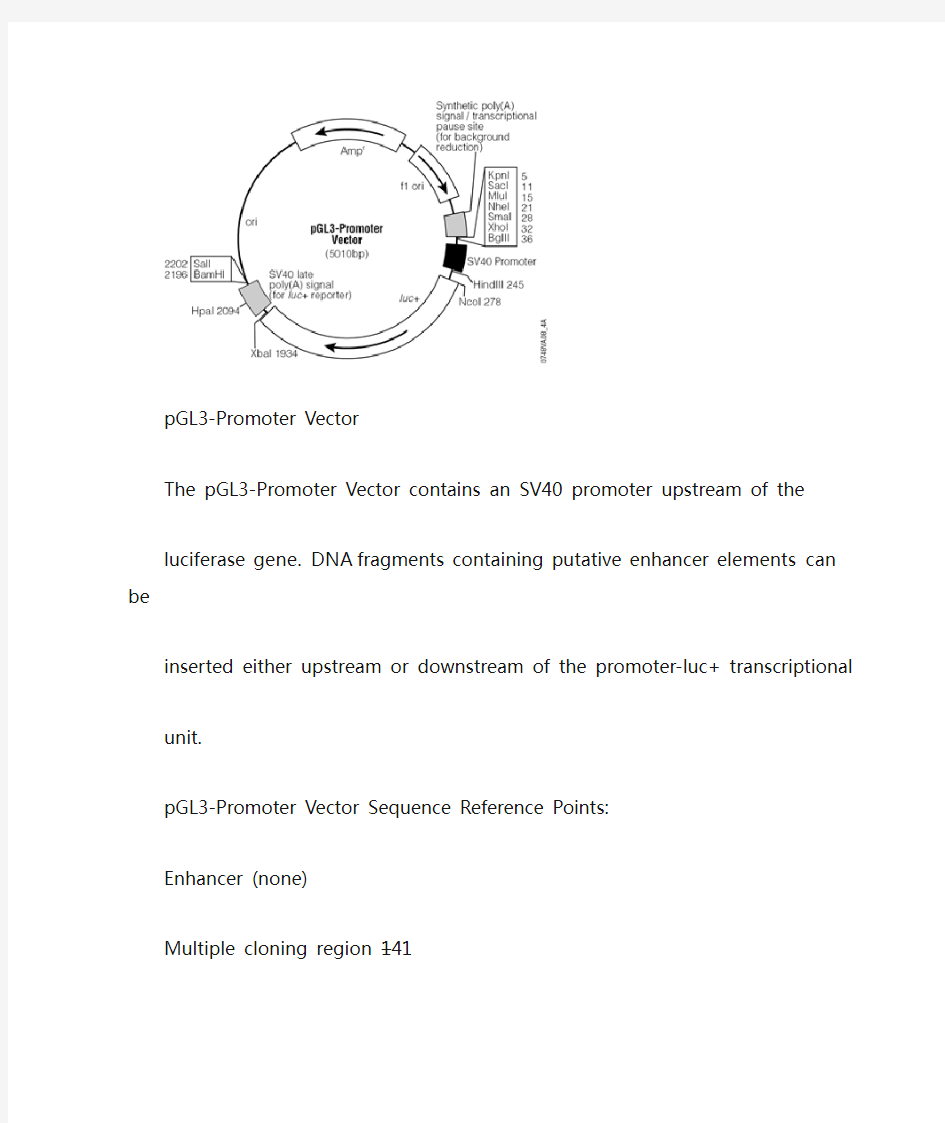 pGL3-Promoter Vector质粒图谱及其说明