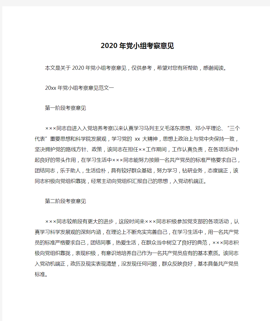 2020年党小组考察意见