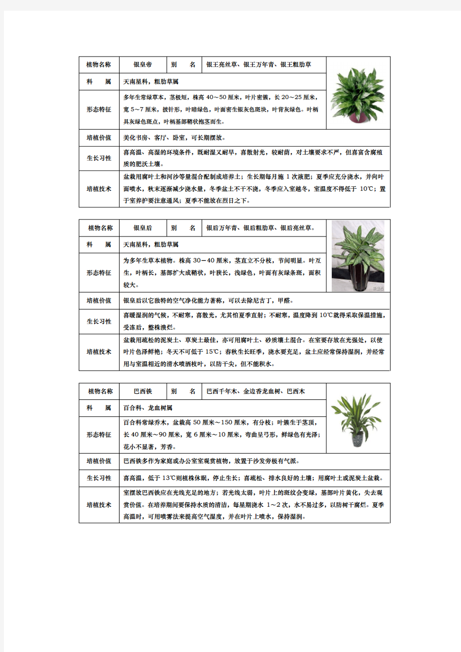 常见室内盆栽绿化植物的介绍[带图片]