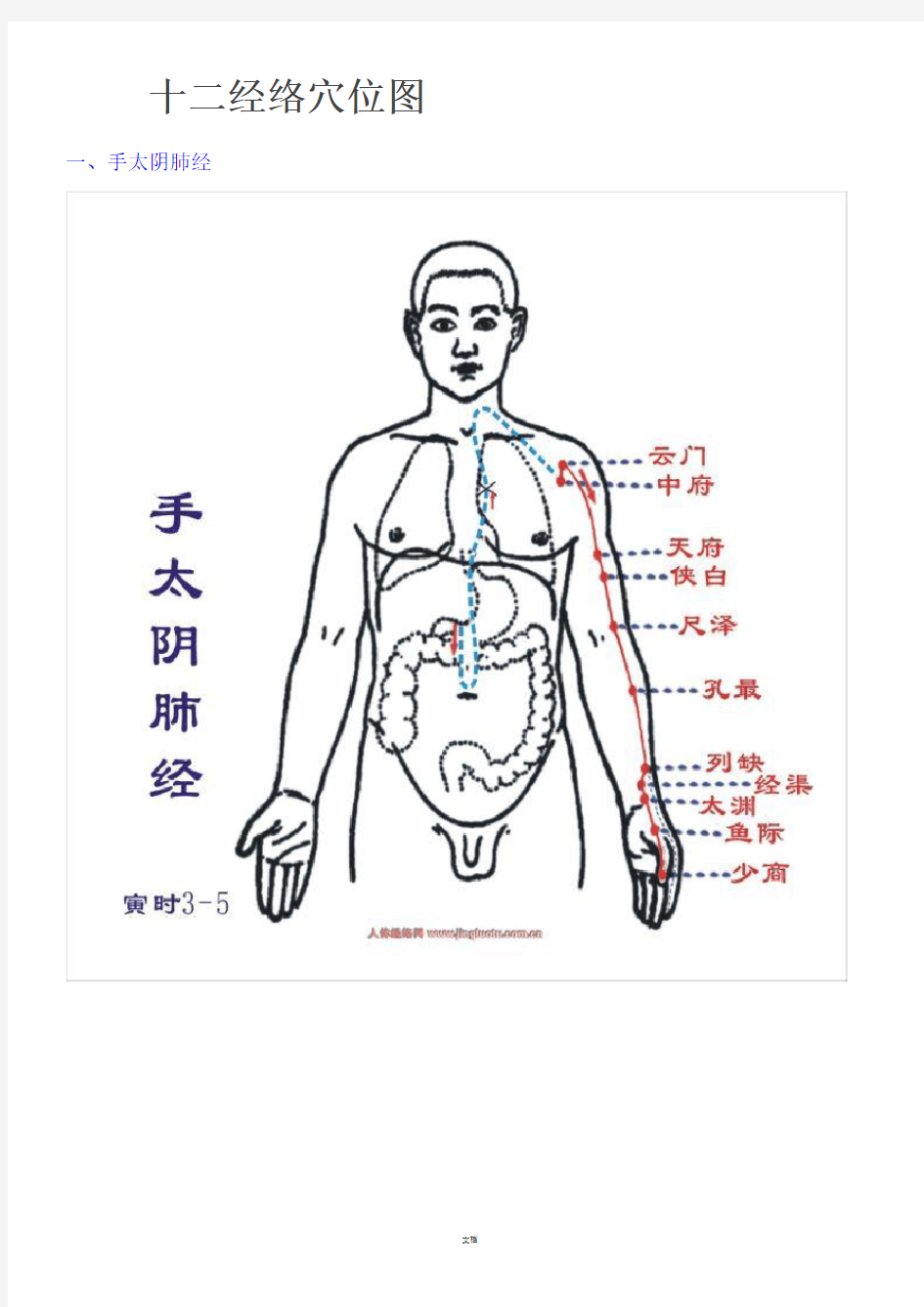 十二经络穴位图