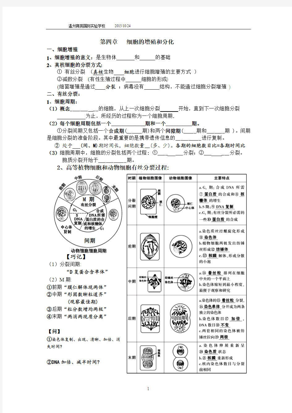 细胞的增殖和分化