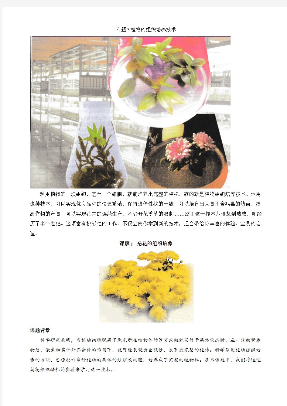 课题1 菊花的组织培养
