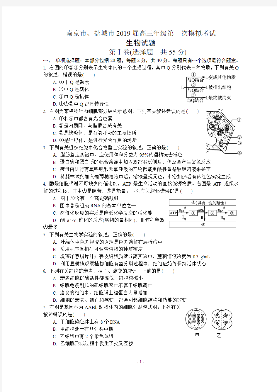 江苏省南京市、盐城市2019届高三年级第一次模拟考试 生物试题