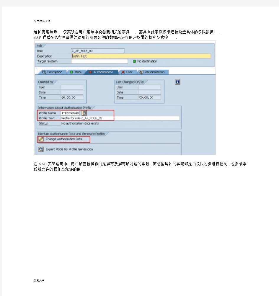 SAP用户权限控制设置以及开发.docx