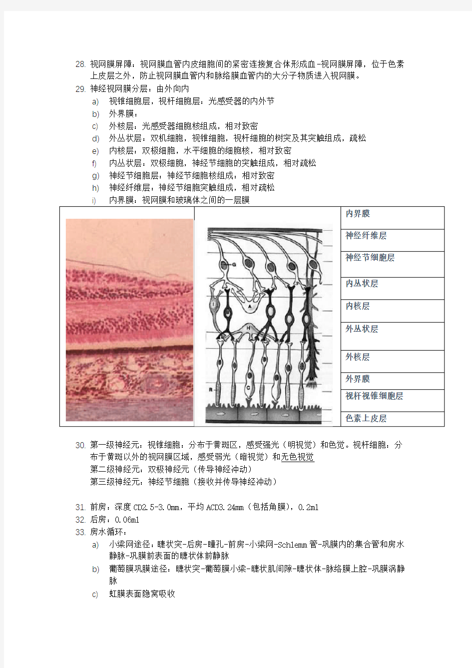 (推荐)眼科知识总结-眼的应用解剖和生理