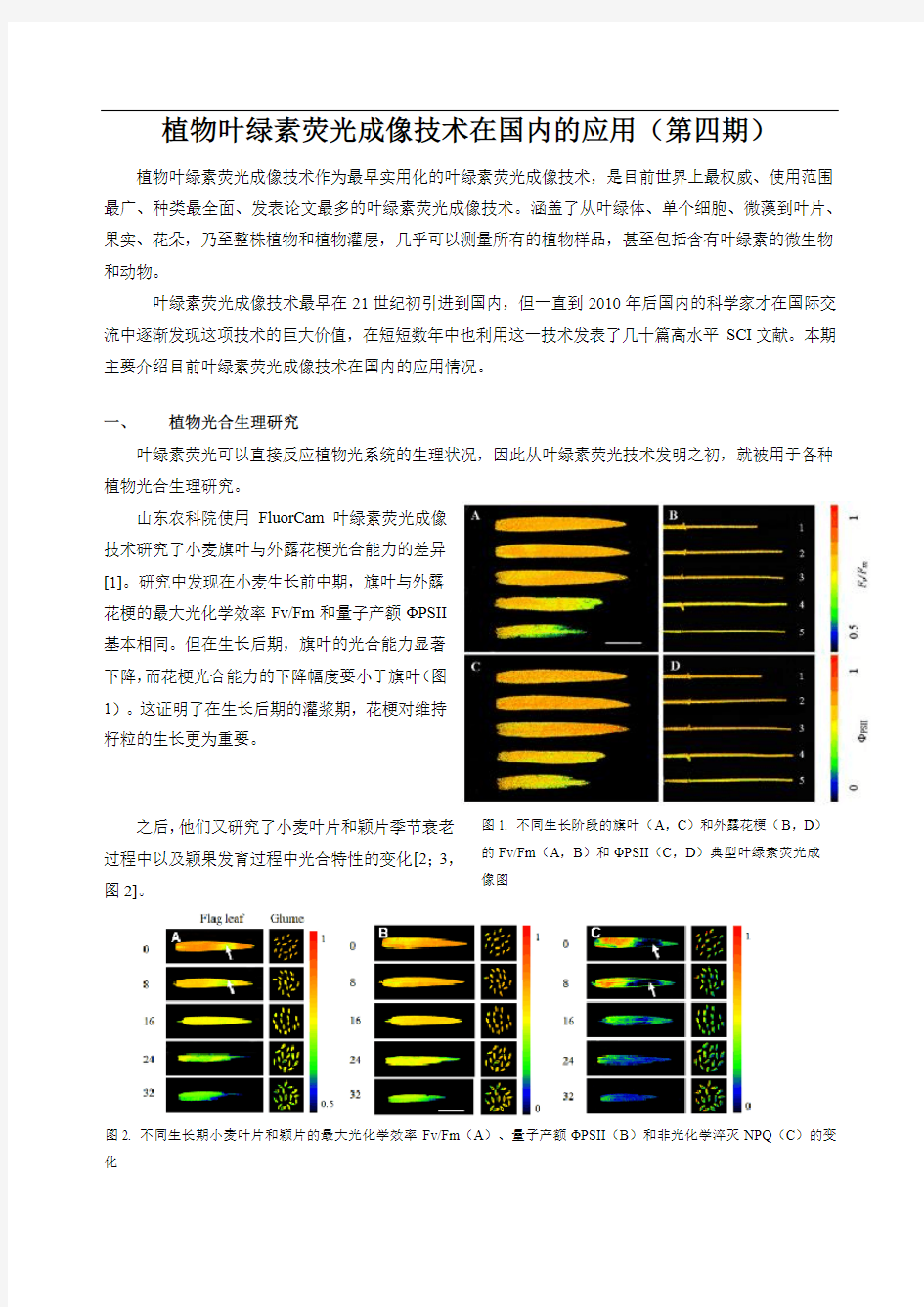 植物叶绿素荧光成像技术在国内的应用