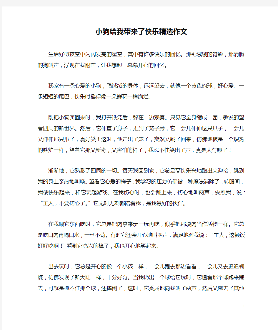 小狗给我带来了快乐精选作文