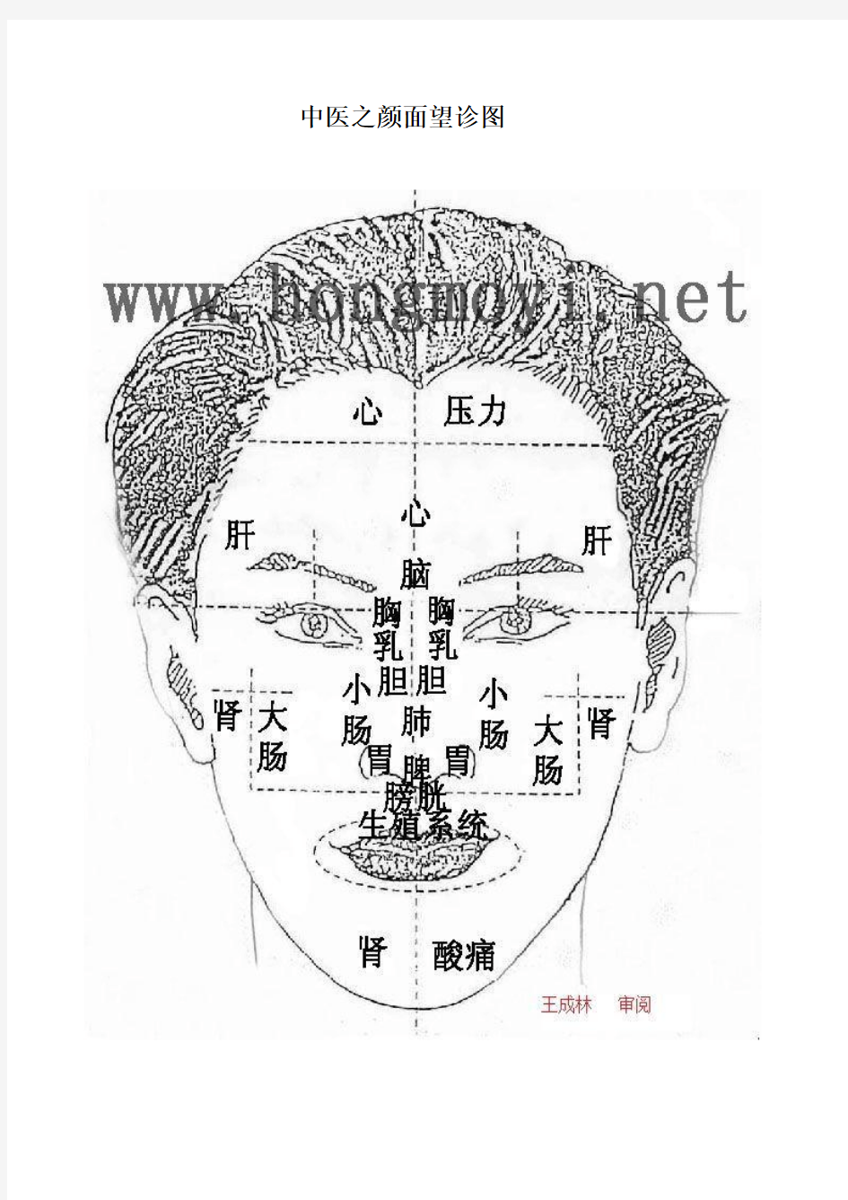 中医之颜面望诊图