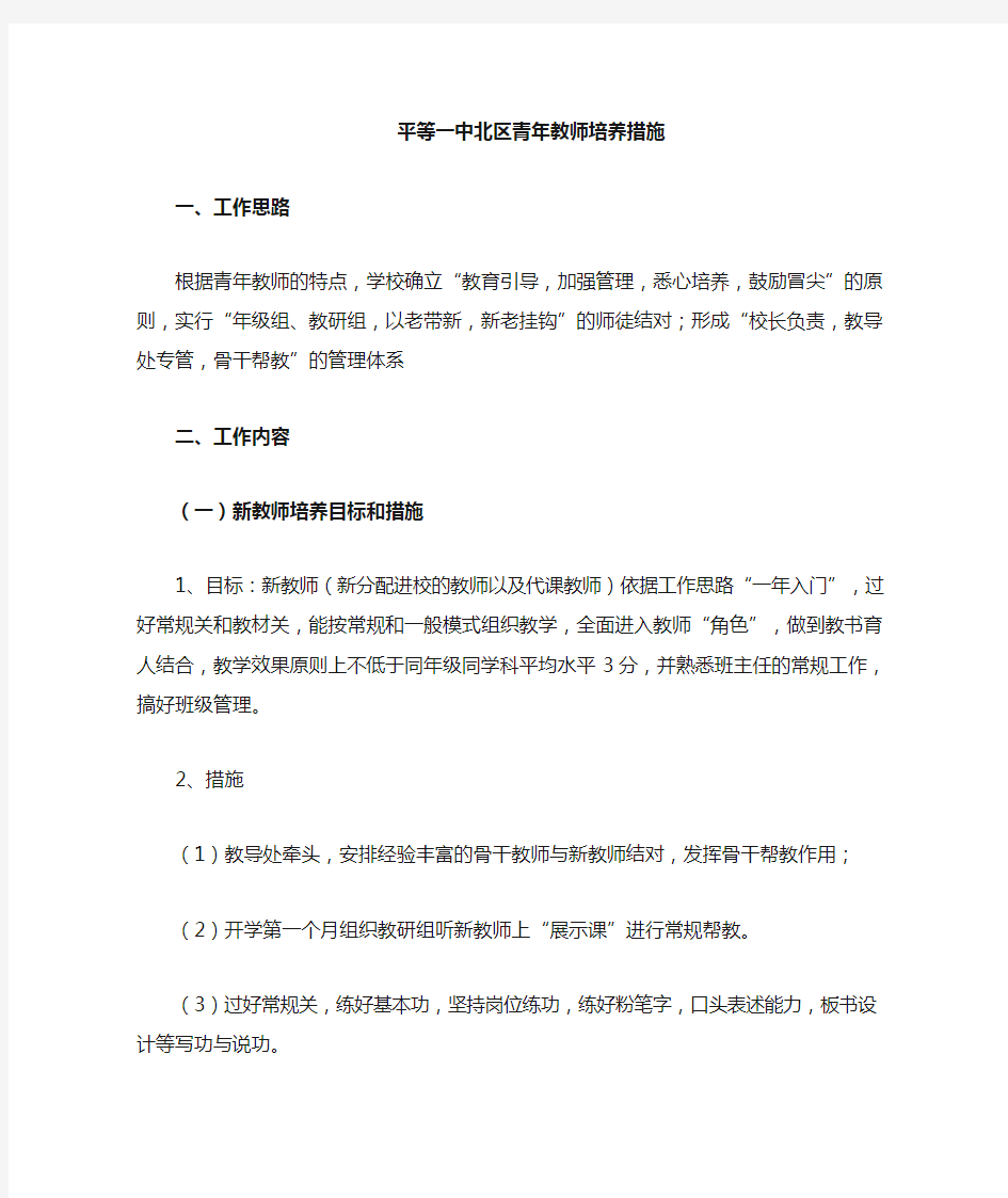 青年教师培养措施