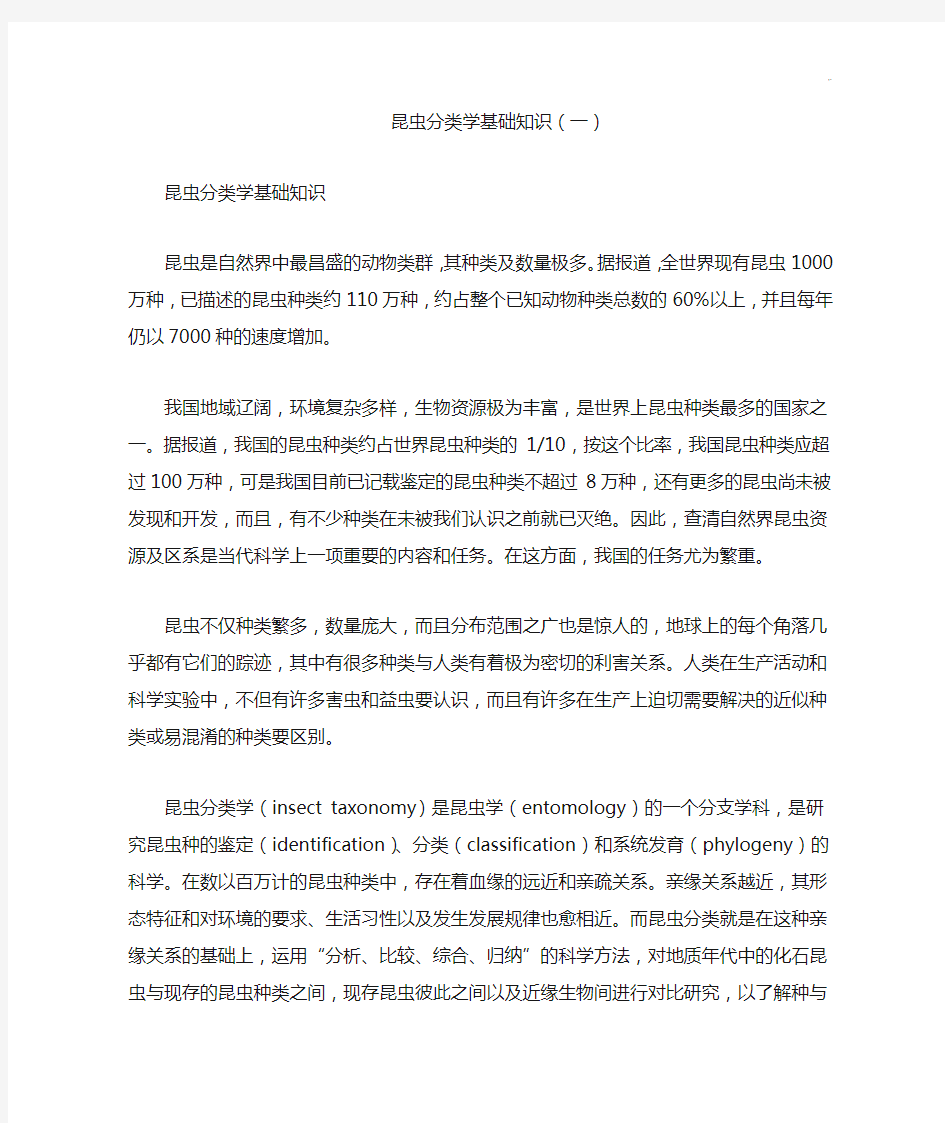 昆虫分类学基础学习知识知识