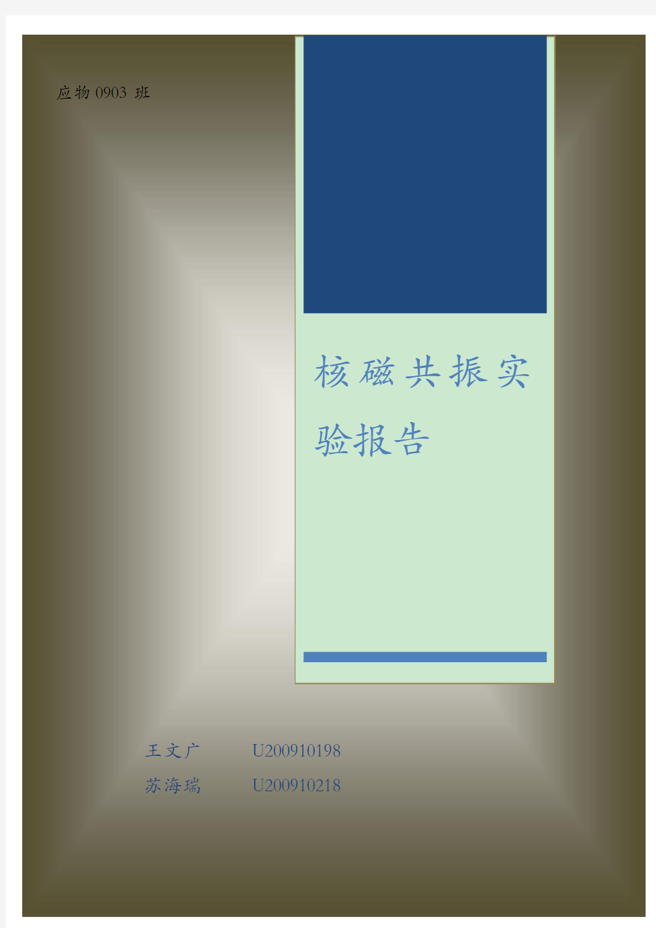 核磁共振实验报告材料