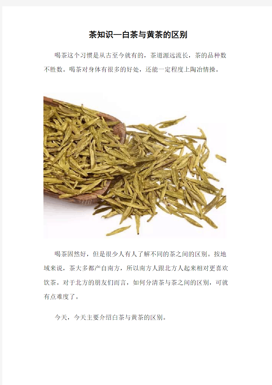 茶知识—白茶与黄茶的区别