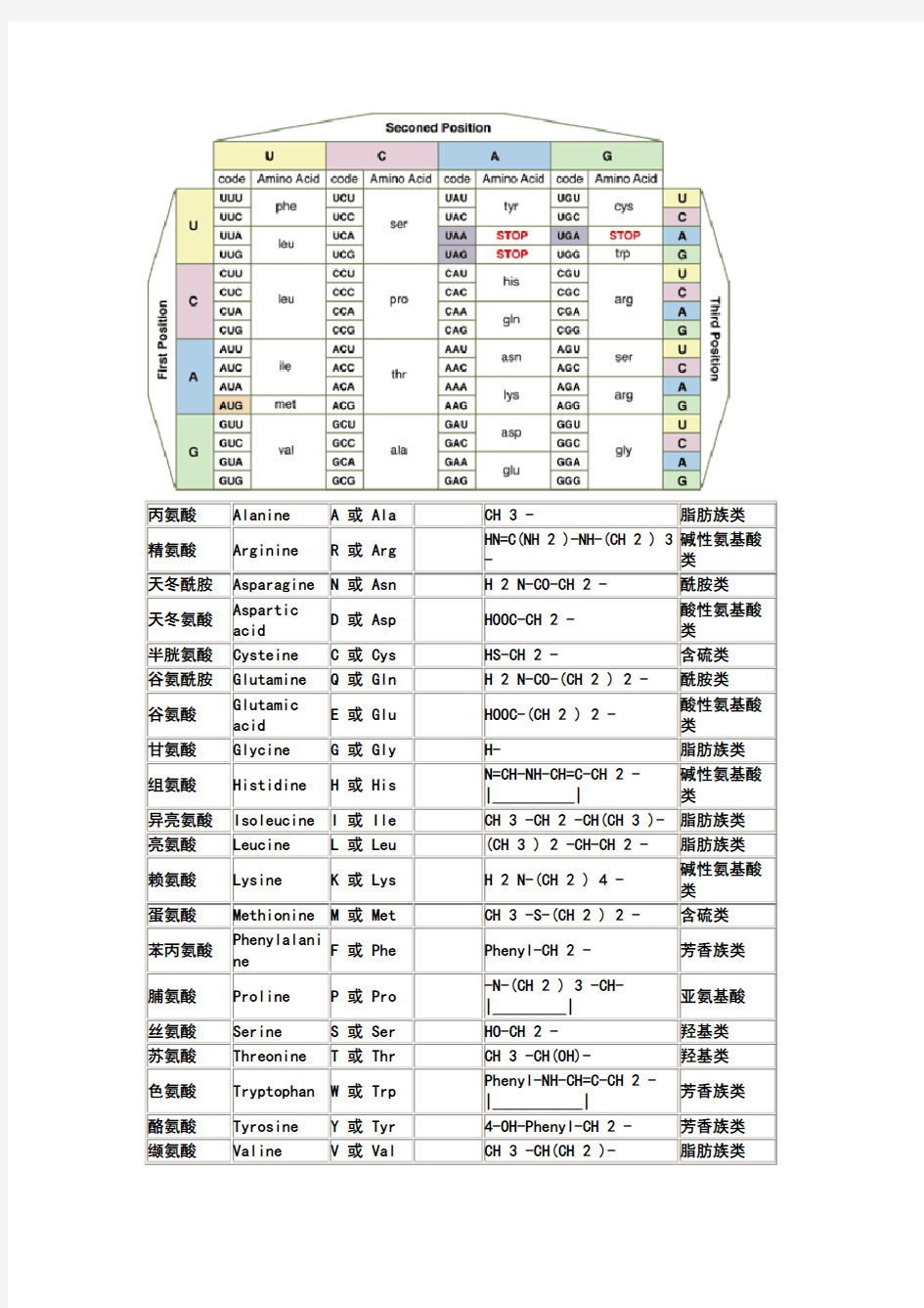 氨基酸密码子对照表