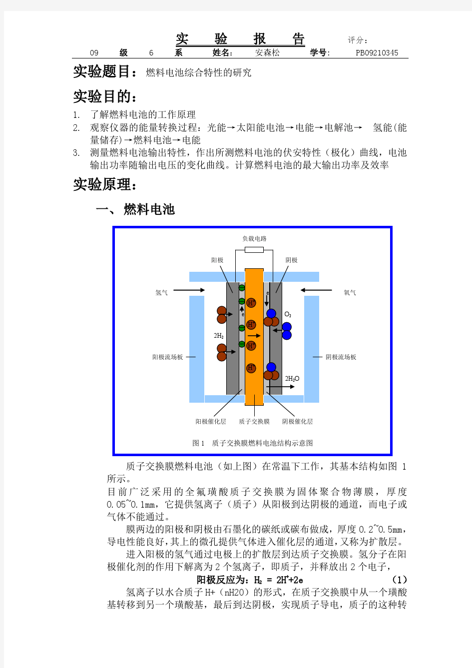 燃料电池综合特性研究