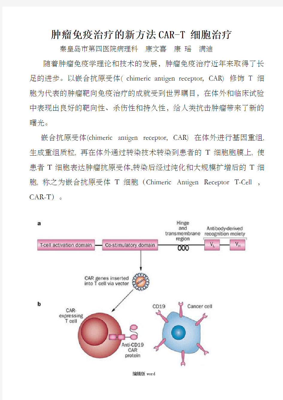 肿瘤免疫治疗的新方法CAR-T 细胞治疗
