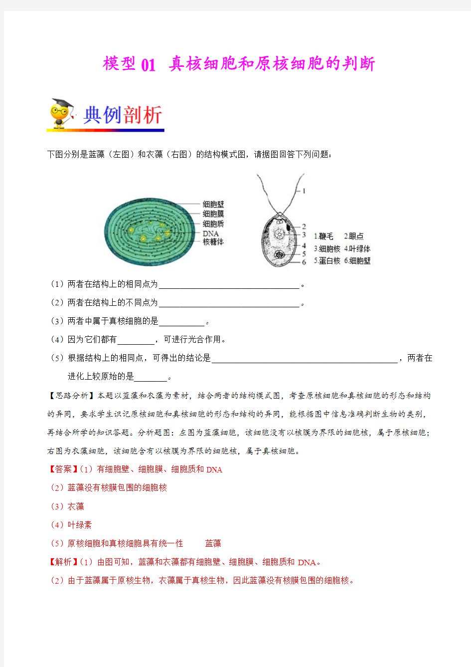 模型01 真核细胞和原核细胞的判断-备战2018年高考生物之模型解题法(原卷版)