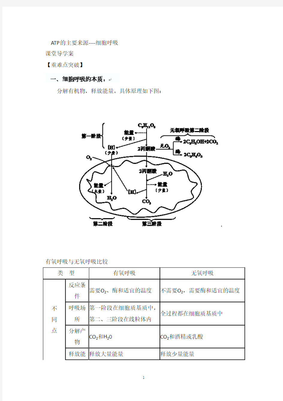 邳州市第二中学高二生物导学案：ATP的主要来源----细胞呼吸