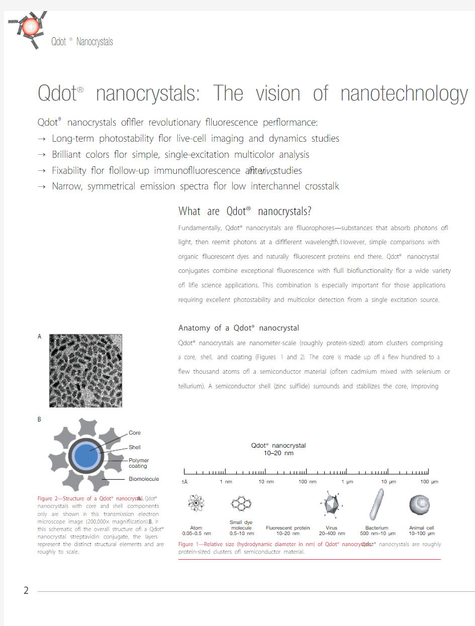 Qdot_brochure量子点