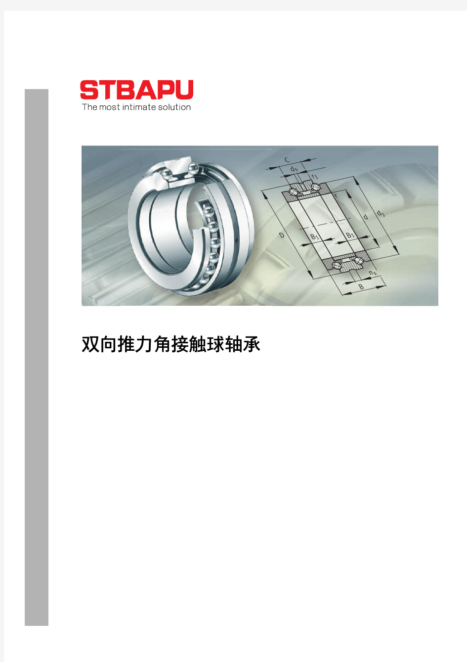 STBAPU 双向推力角接触球轴承