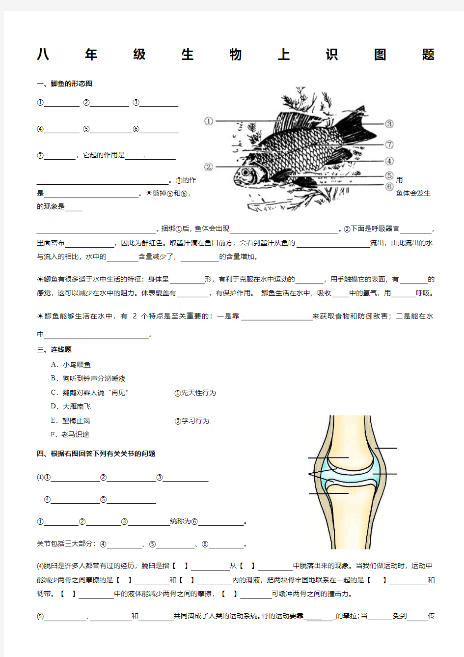 八年级生物上填图题(识图题)专题复习