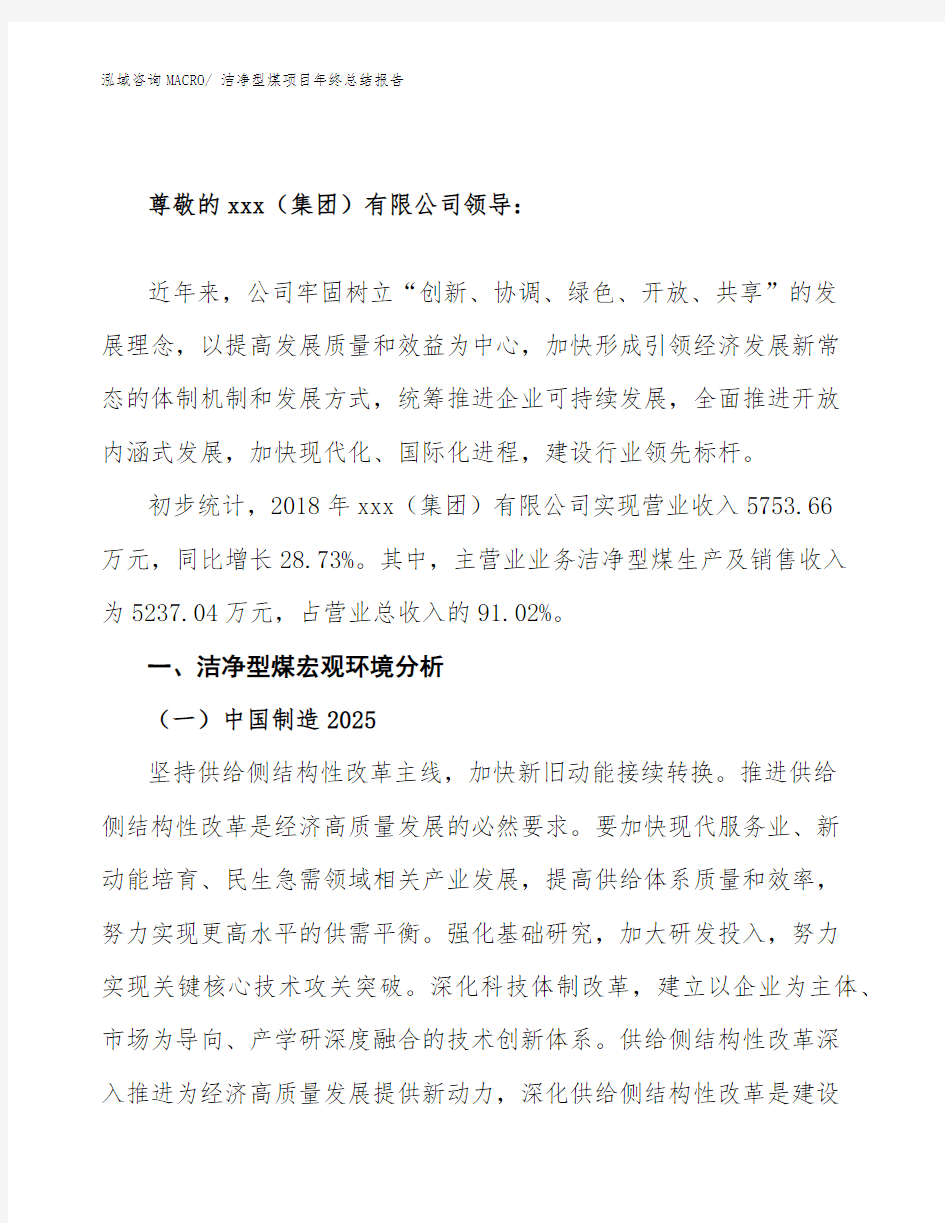 洁净型煤项目年终总结报告