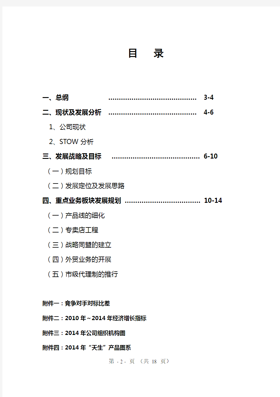 科技公司五年规划大纲