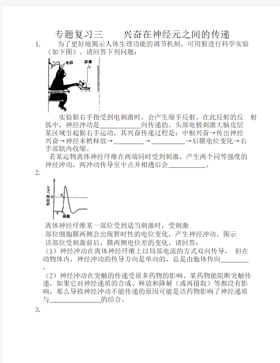 专题复习三    兴奋在神经元之间的传递