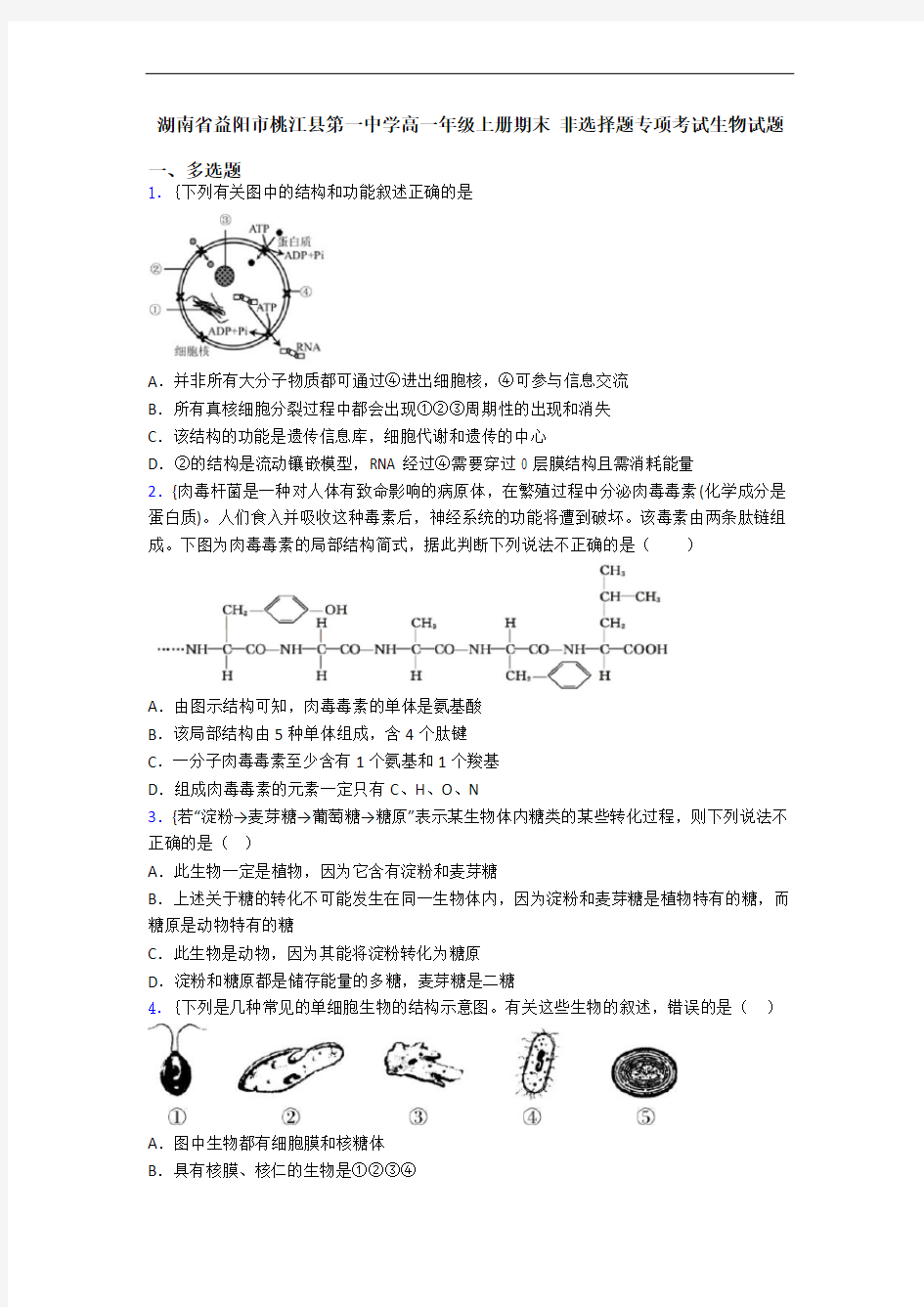 湖南省益阳市桃江县第一中学高一年级上册期末 非选择题专项考试生物试题