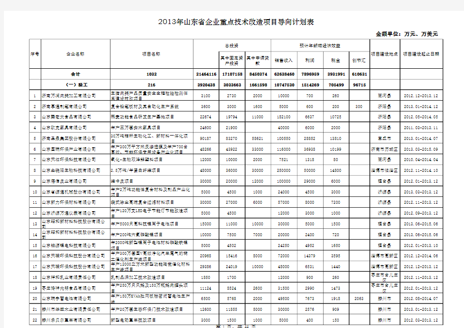 2013年山东省企业重点技术改造项目导向计划表