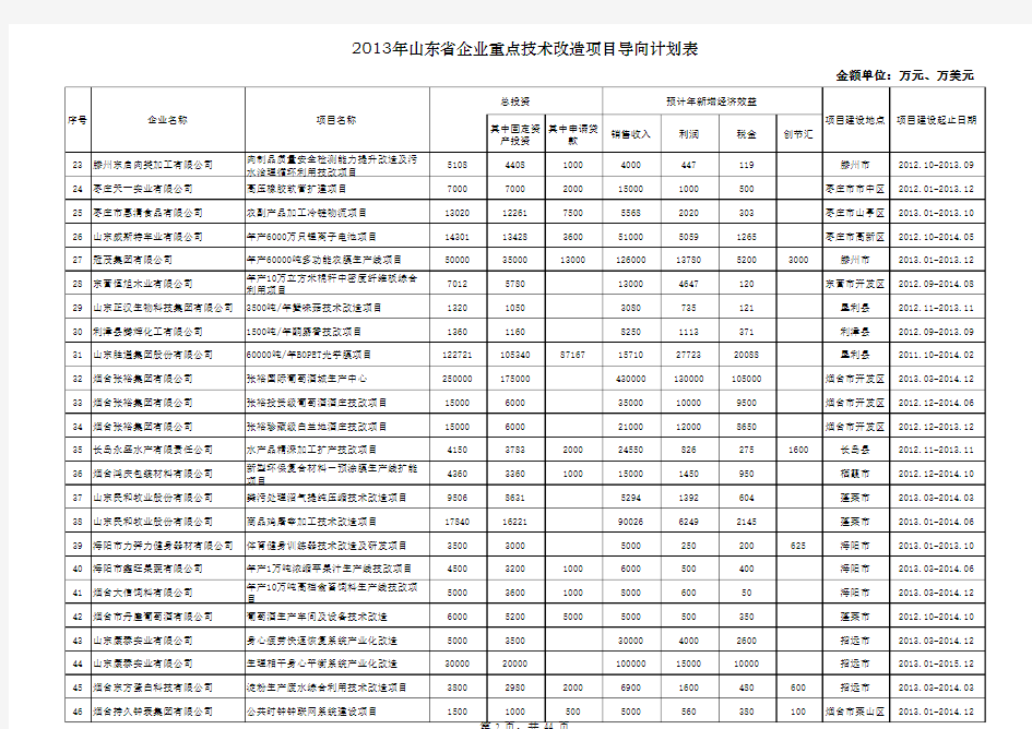 2013年山东省企业重点技术改造项目导向计划表