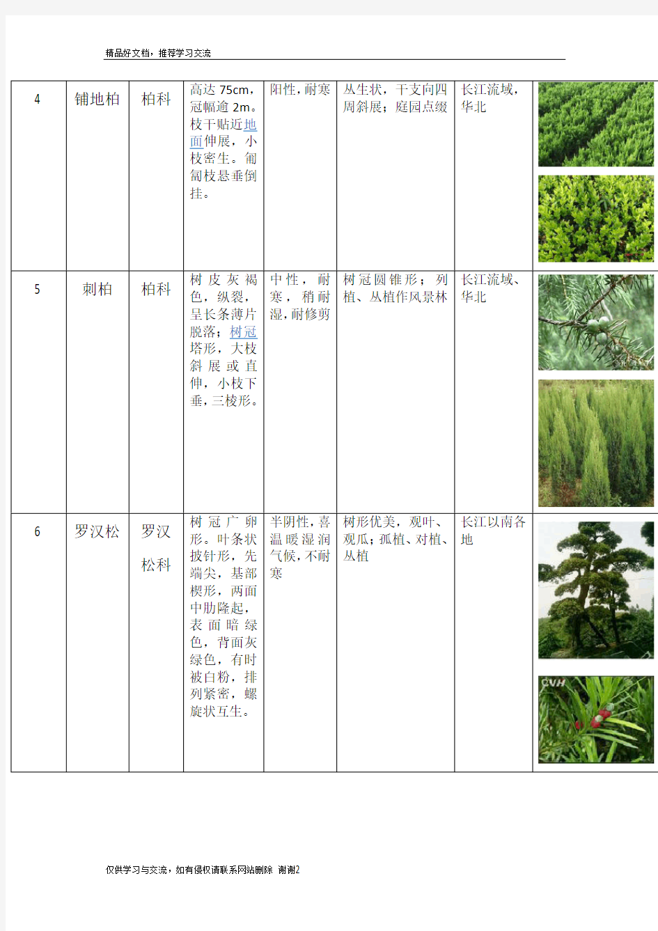 最新园林树木种类表