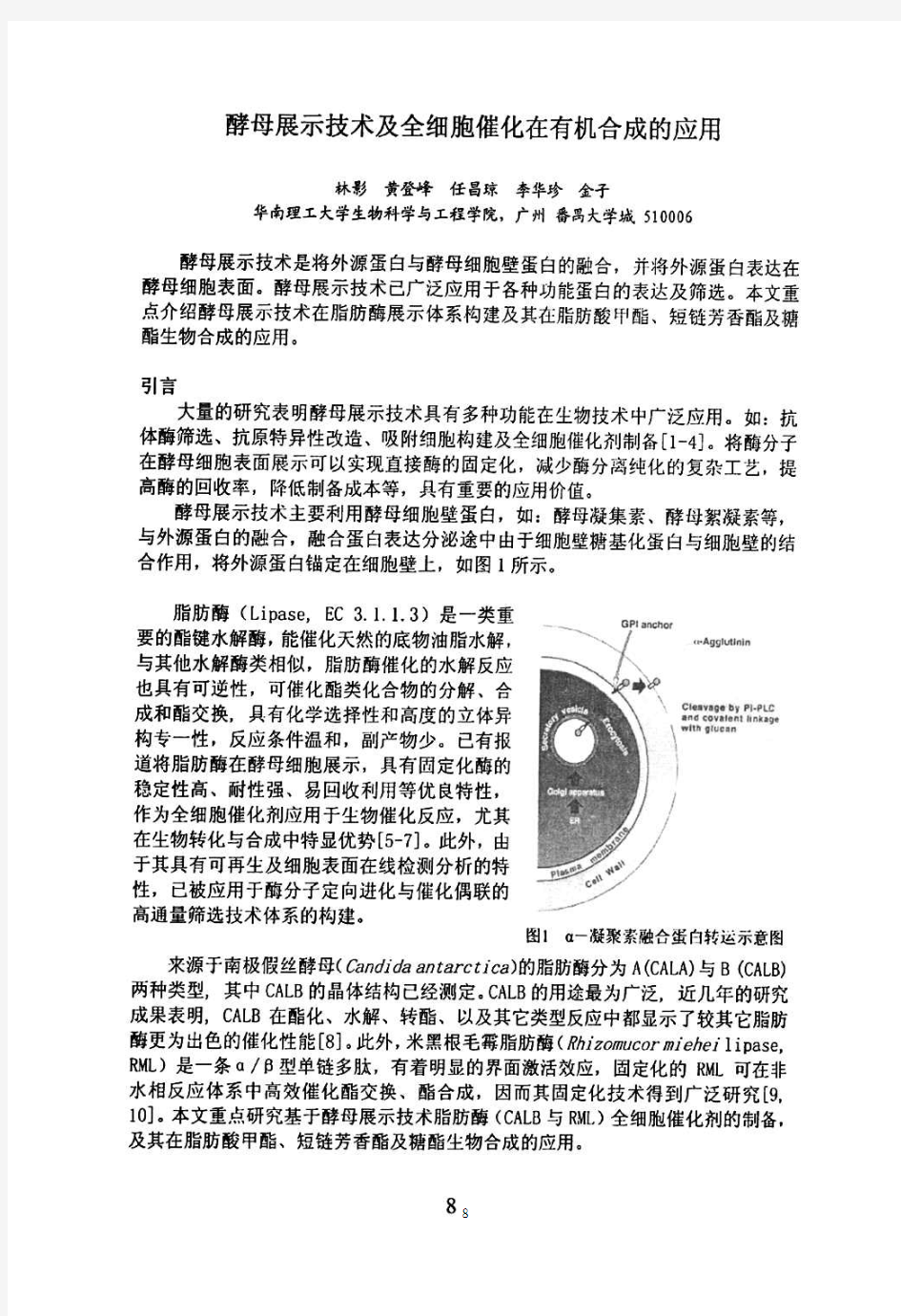 酵母展示技术及全细胞催化在有机合成的应用