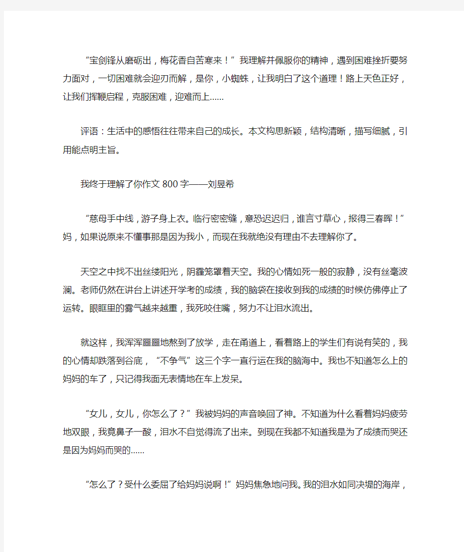 我终于理解了你作文800字