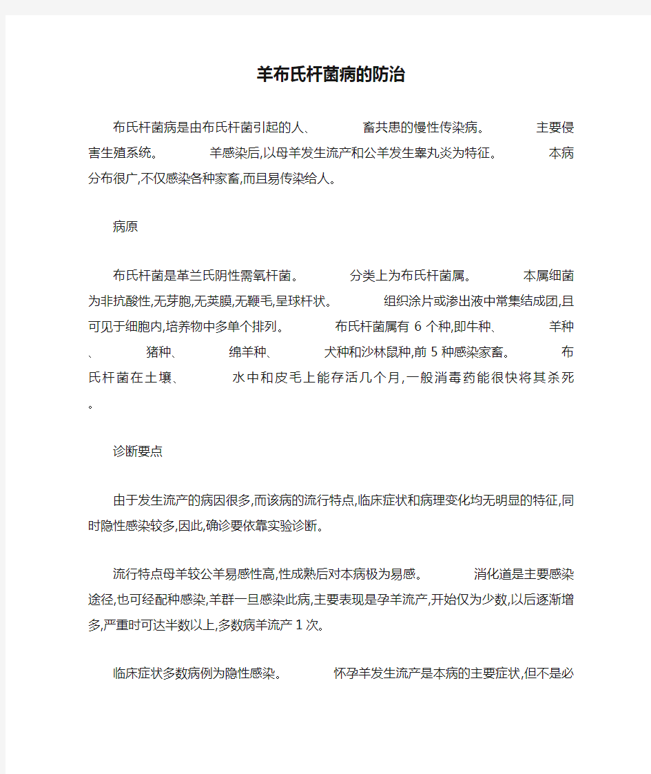 羊布氏杆菌病的防治