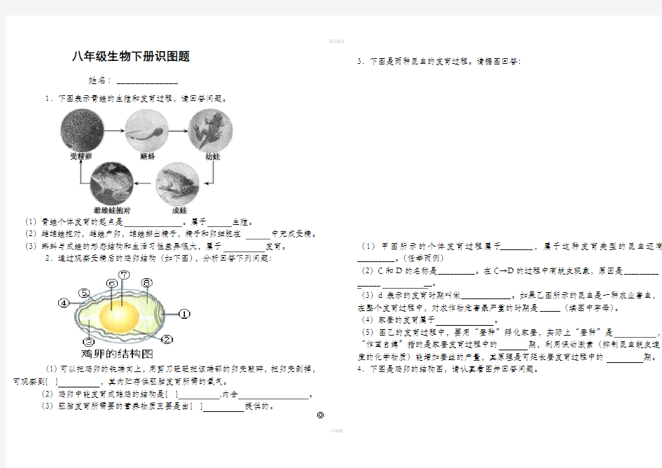 八年级生物下册识图题77953