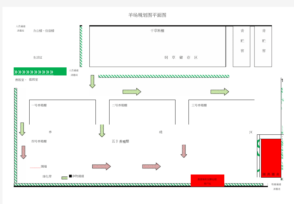 羊圈舍设计方案图