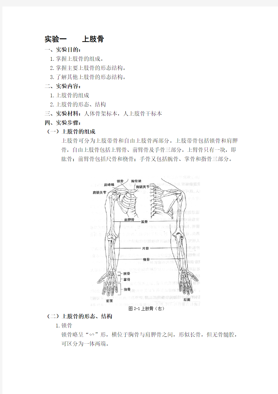 1.全身骨的组成及名称