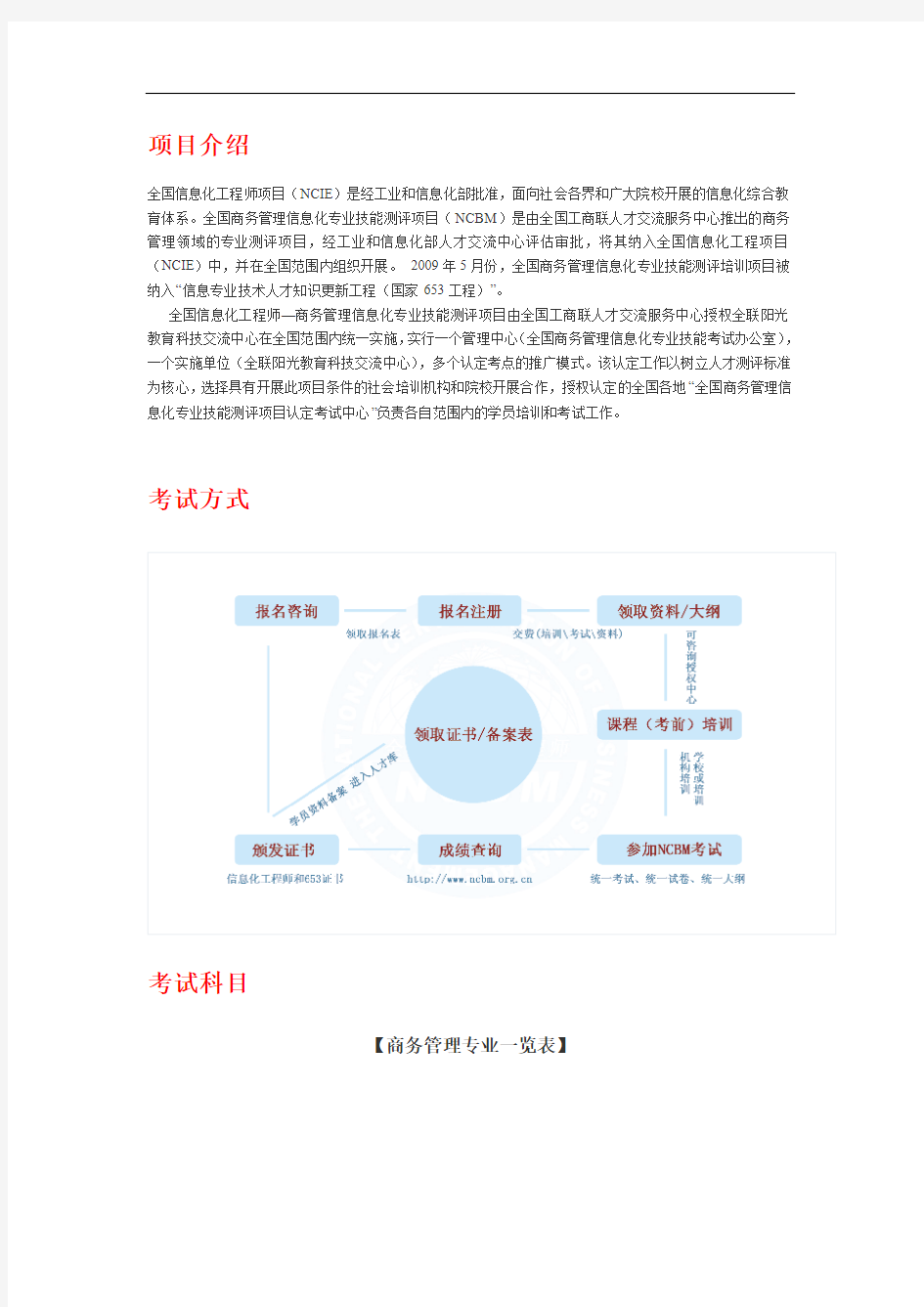 全国信息化工程师项目(NCIE)